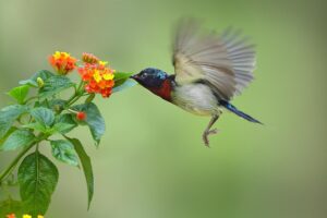 G68ebfee85216a9c247d74e35d1b85047a4472bb4c803b7e23c397628f0e424bee59bc37cab4122dfb01100b3142151c1c23f798a78037fc65e270c18dfe54933 640